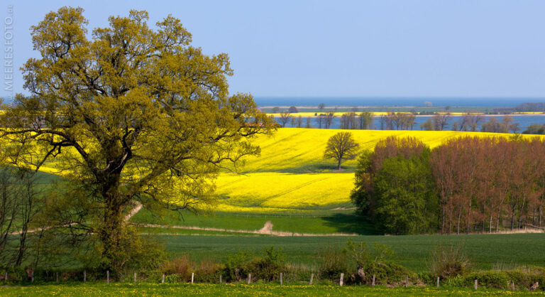 Frühling an der Ostsee