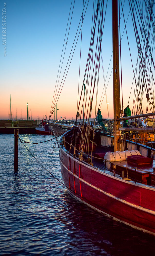 Abendsegler in Laboe